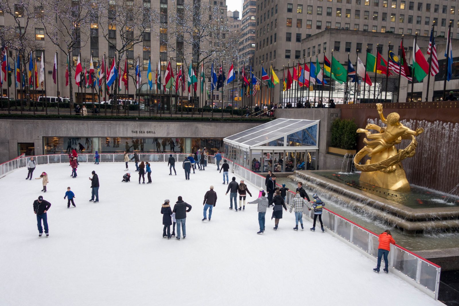 What to do in New York City in the Winter
