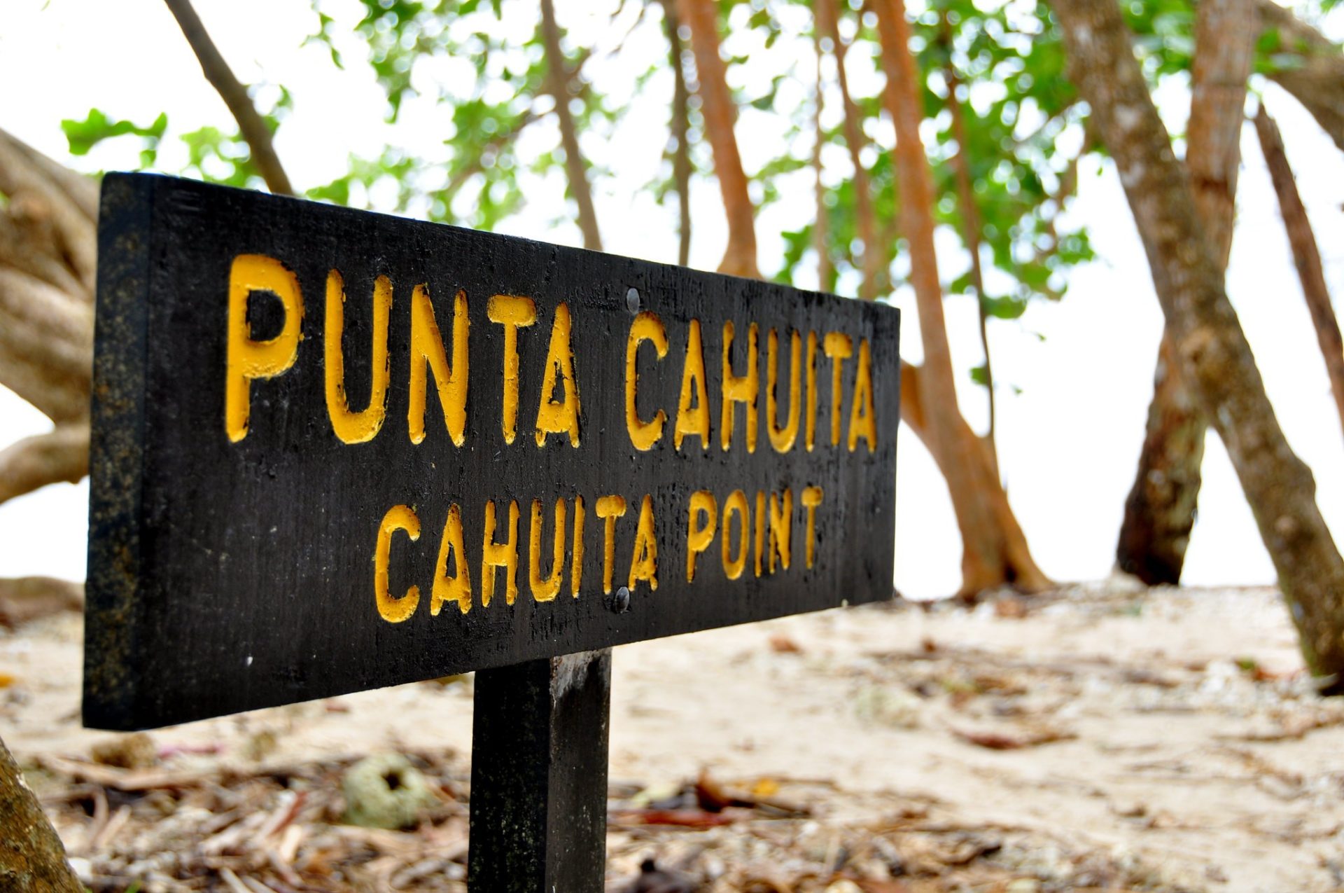 Punta Cahuita, Limon, Costa Rica