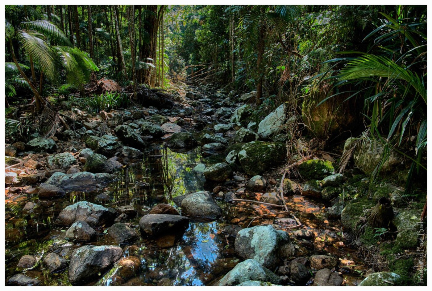 Things to do in Byron Bay: Repentance Creek Nightcap National Park