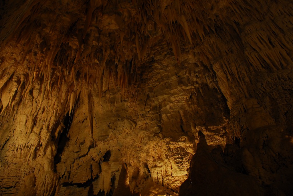 Things to do in New Zealand: Waitomo Cave