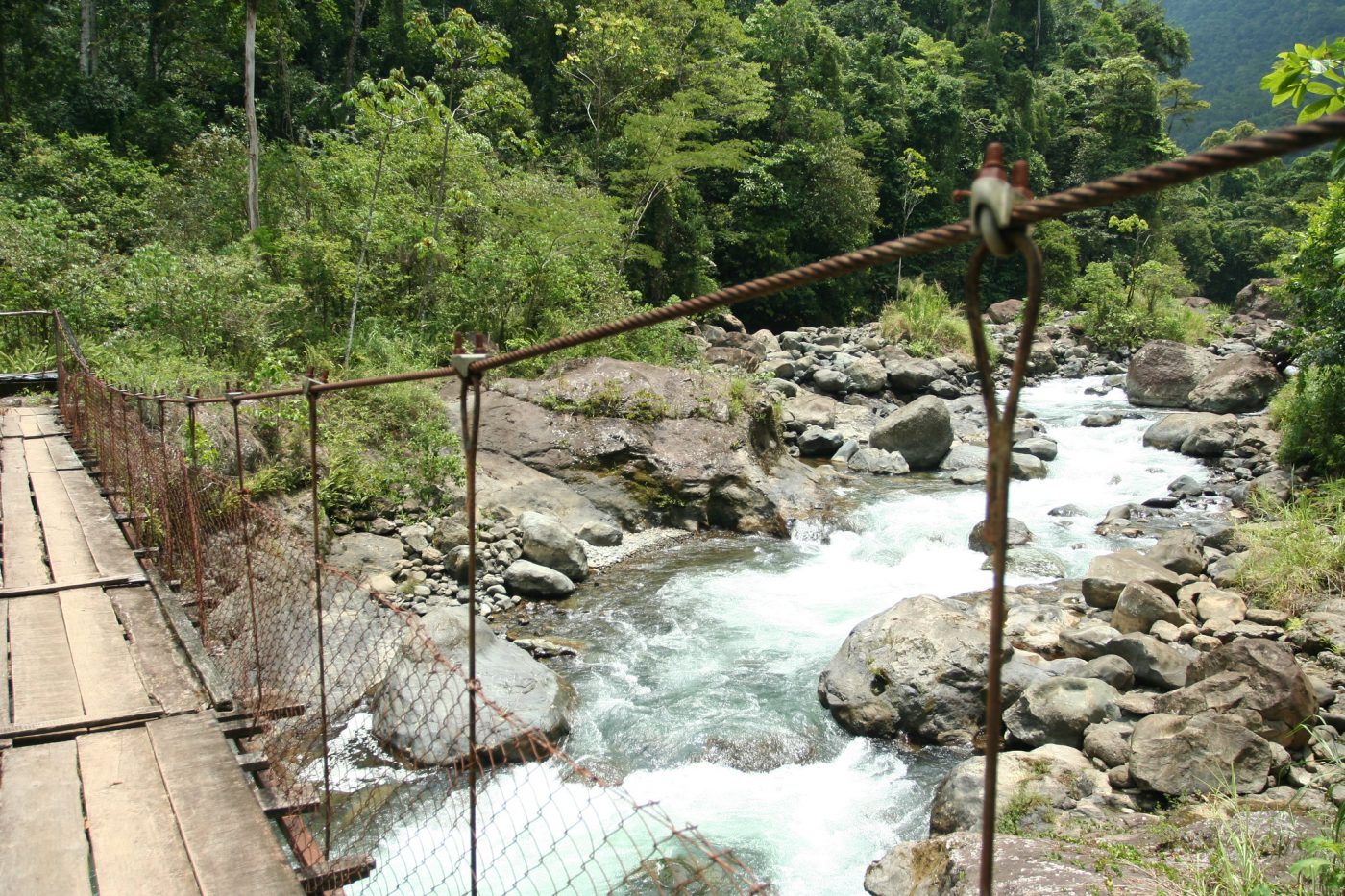 The Complete Guide to Costa Rica National Parks - Piedras Blancas National Park