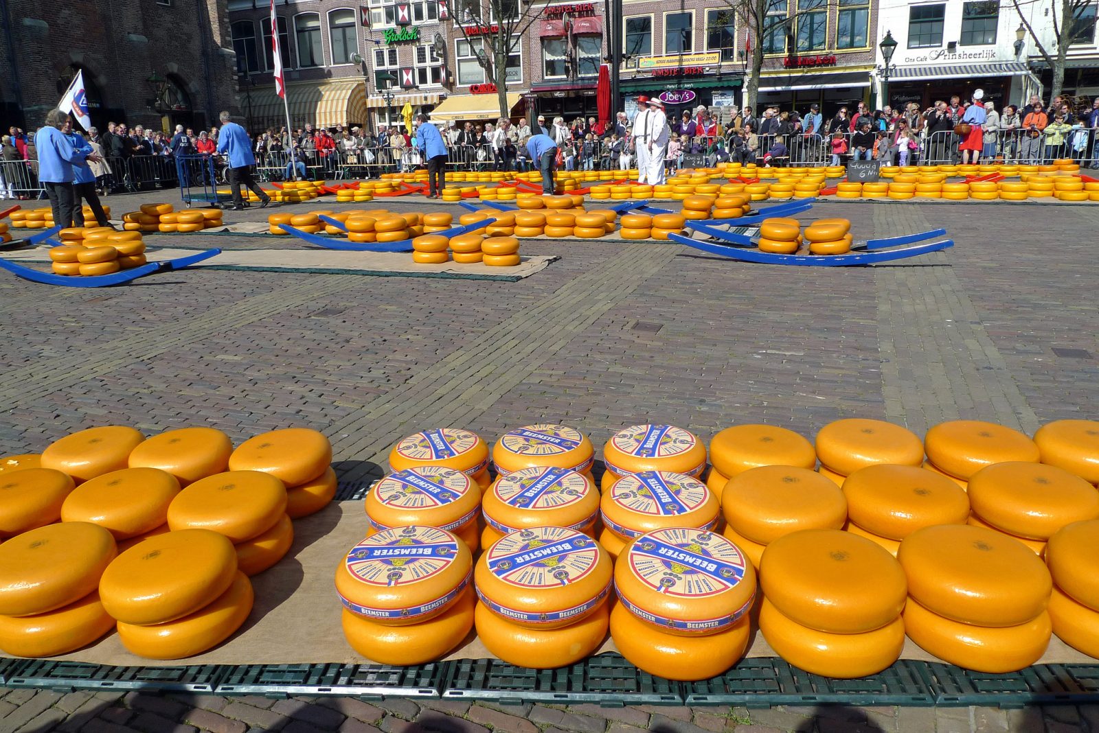 Cultural Close-up: Heaven for Cheese Lovers in Holland