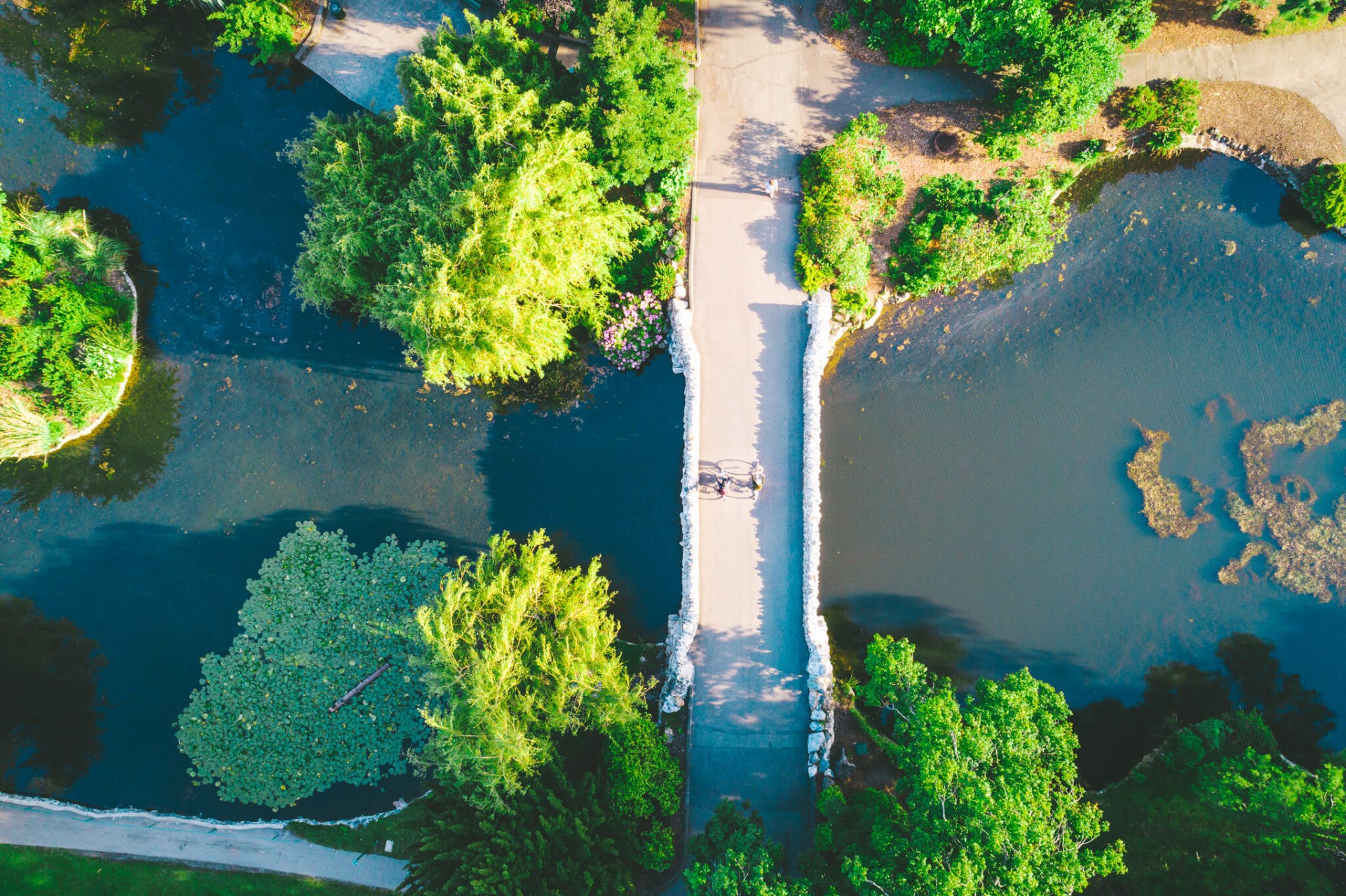 Aerial view of Beacon Hill Park