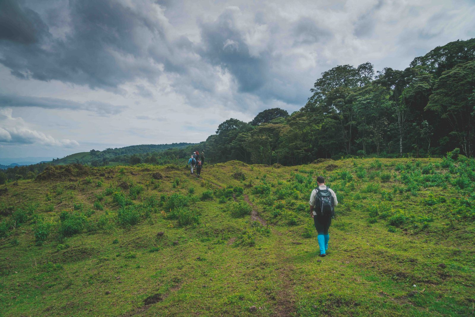 Gorilla Trekking in Congo