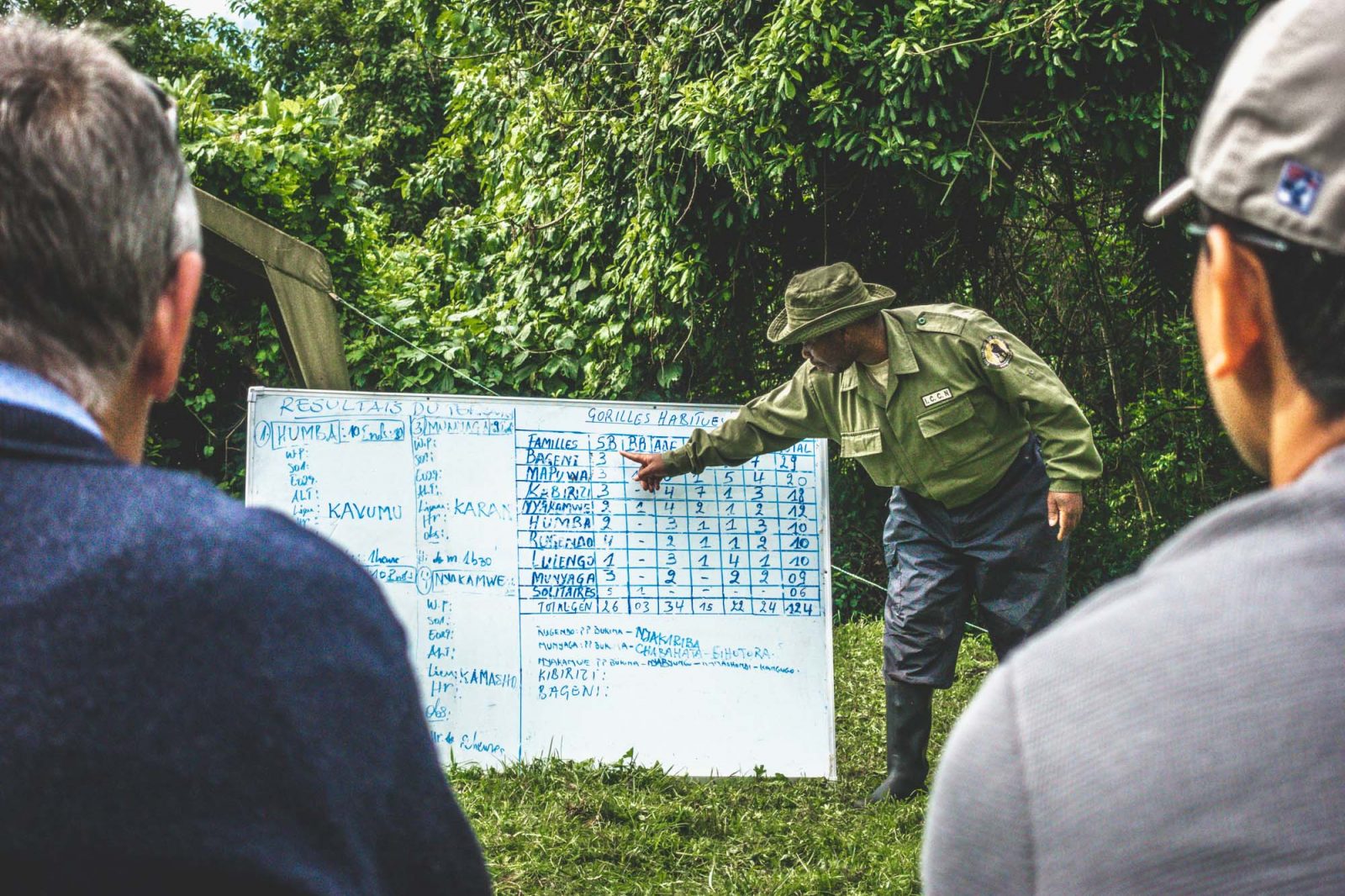 Gorilla Trekking in Congo