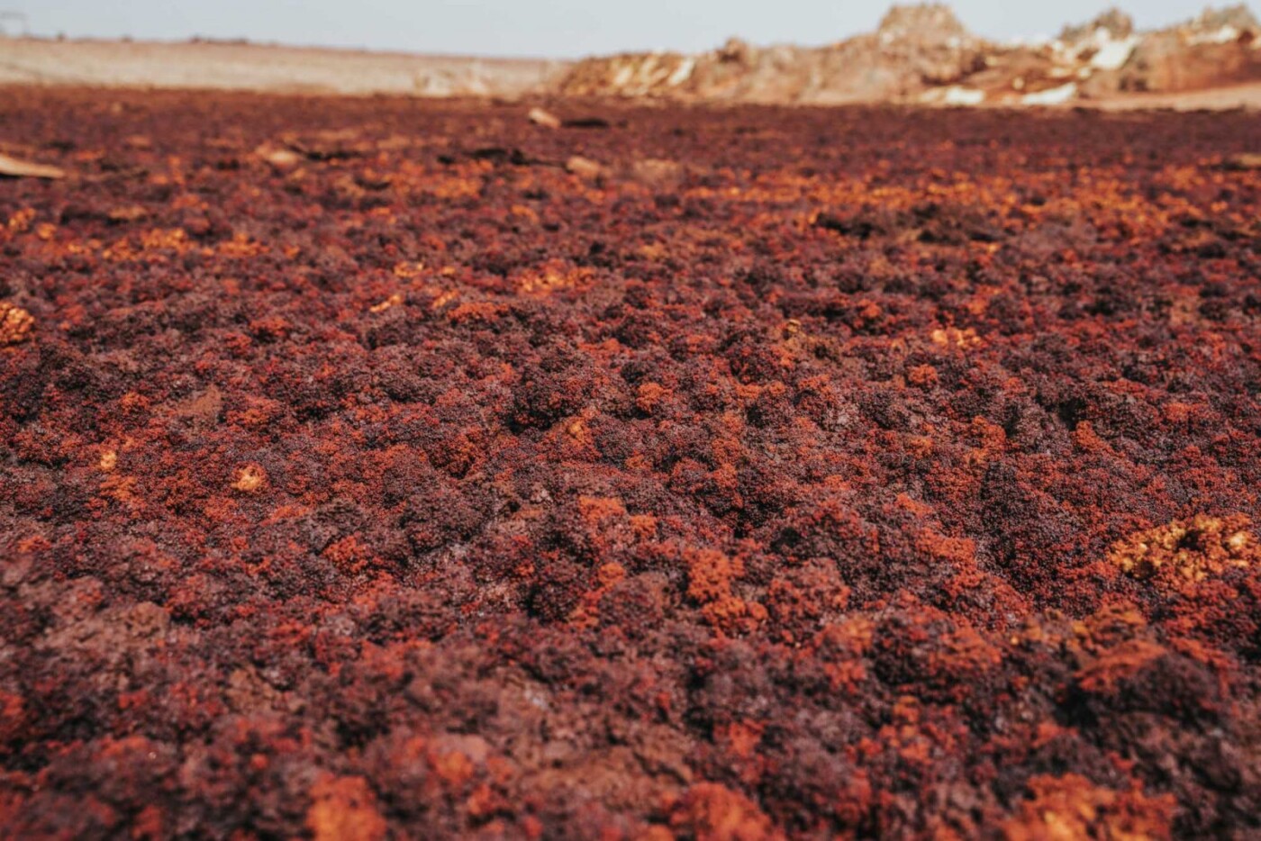 Dallol, Danakil Depression day trip