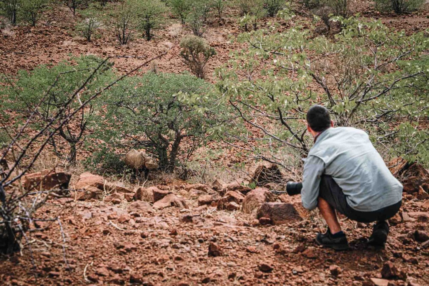 Africa Namibia Goortberg rhino tracking Max 07509 1