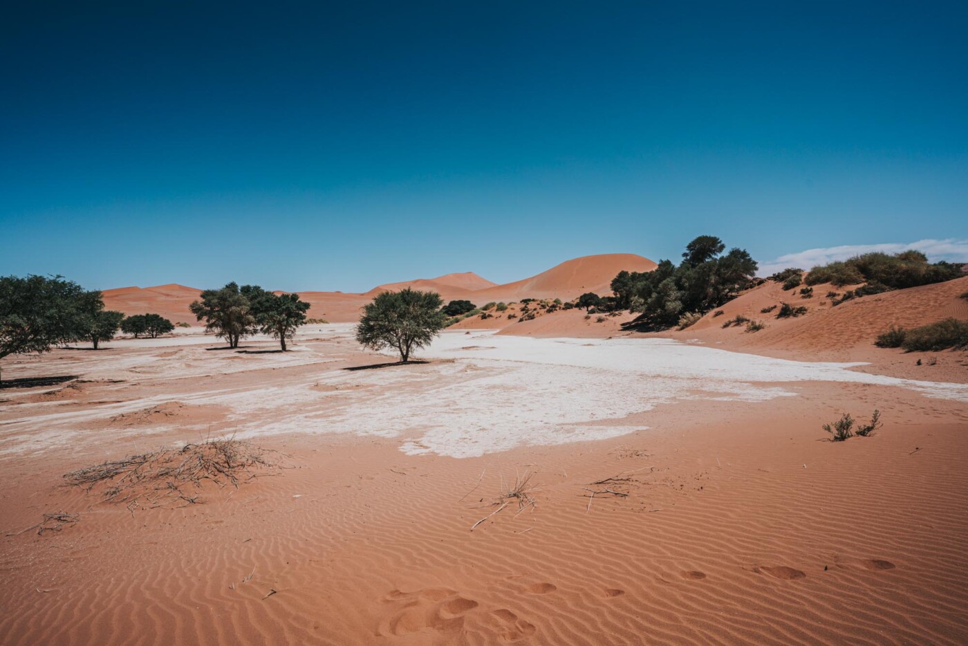 Africa Namibia Sossusvlei 08593