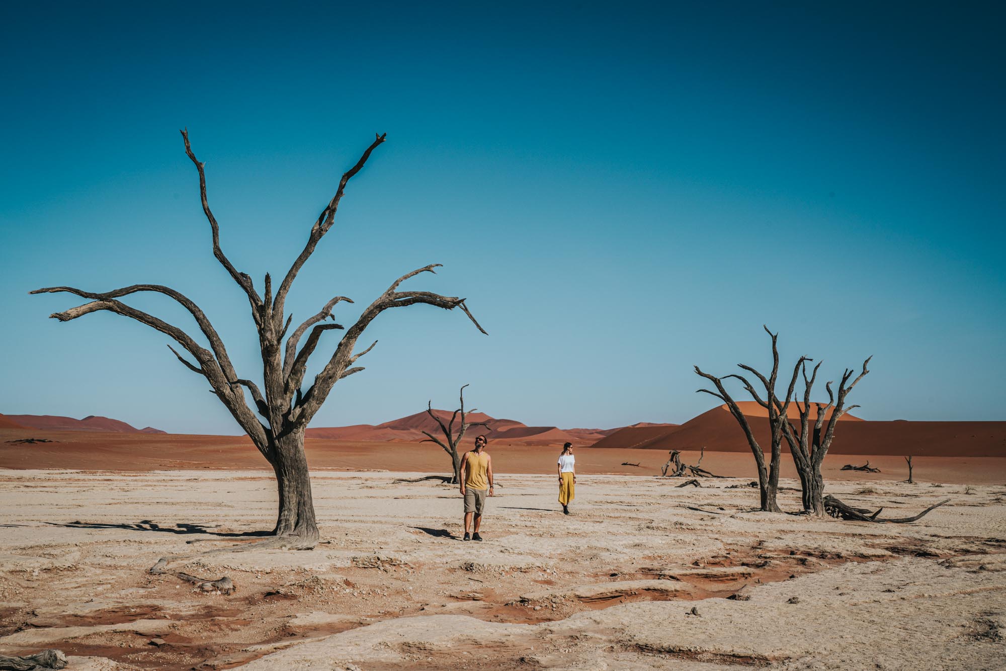 Guide to Visiting Deadvlei & Sossusvlei, Namibia: Things to Do and Important Tips for Your Visit