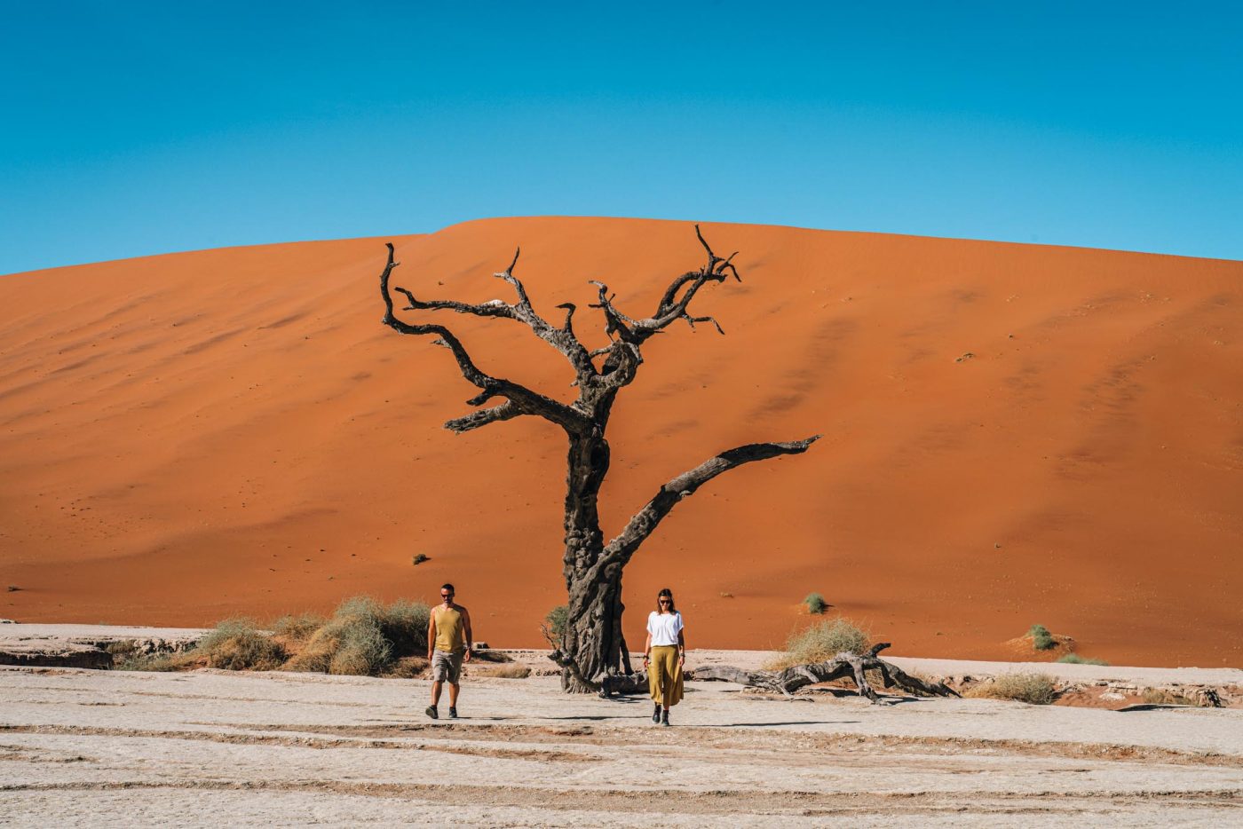 Deadvlei, Sossusvlei - the most iconic destination in Namibia