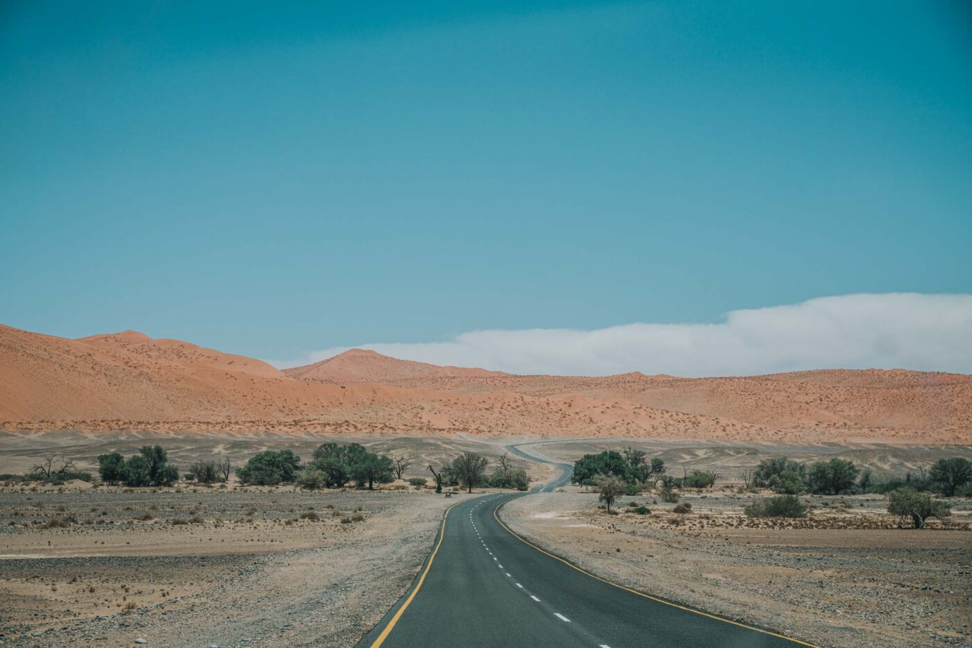 Road to Sossusvlei, Namibia