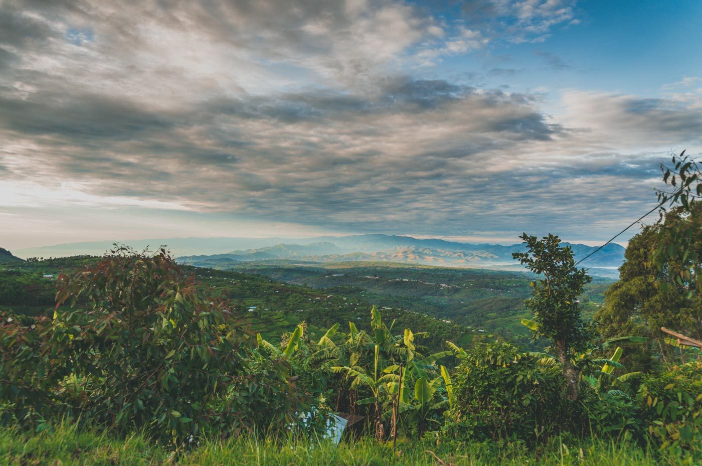 rwanda gorilla safaris scenery