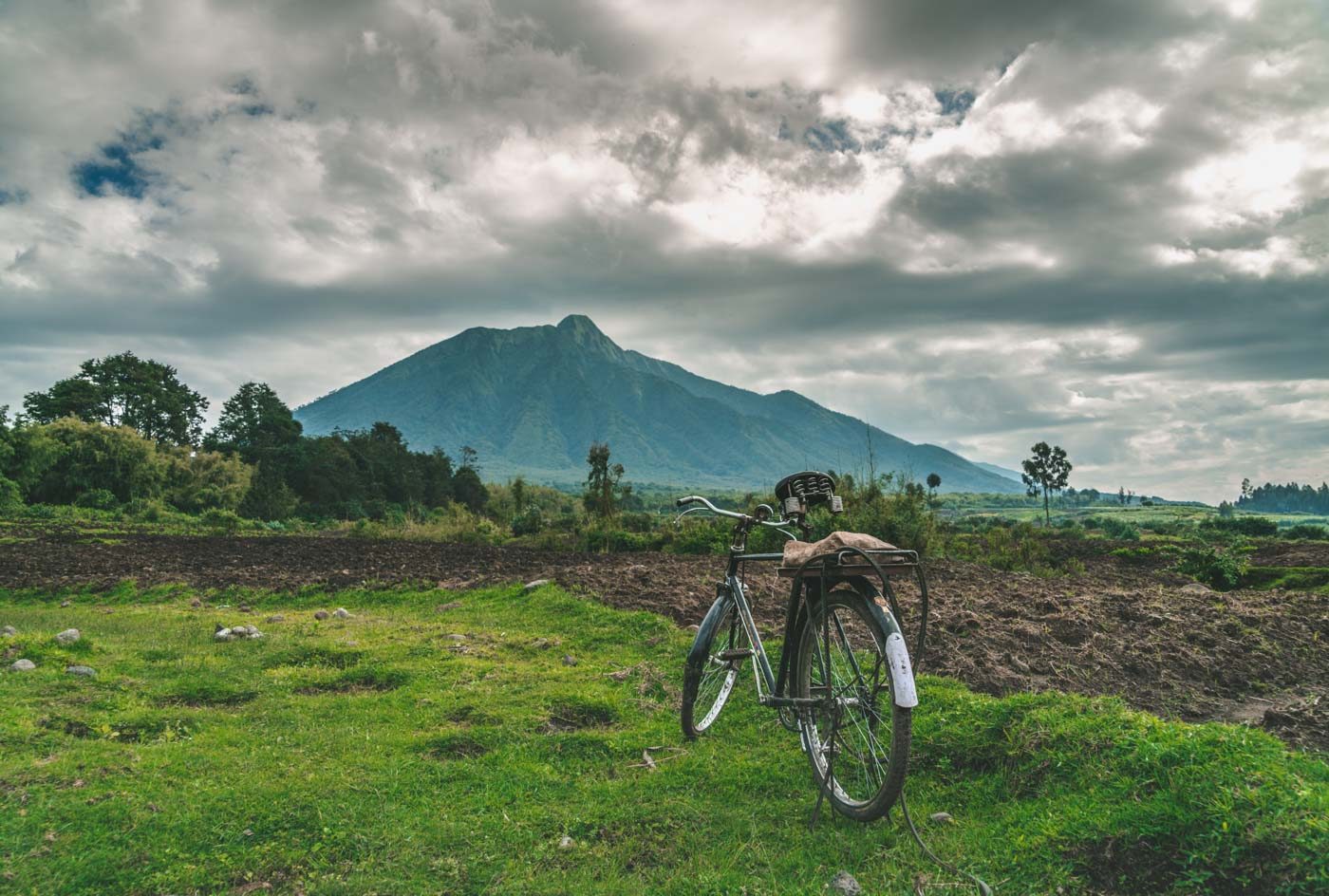Why you should visit Volcanoes National Park in Rwanda