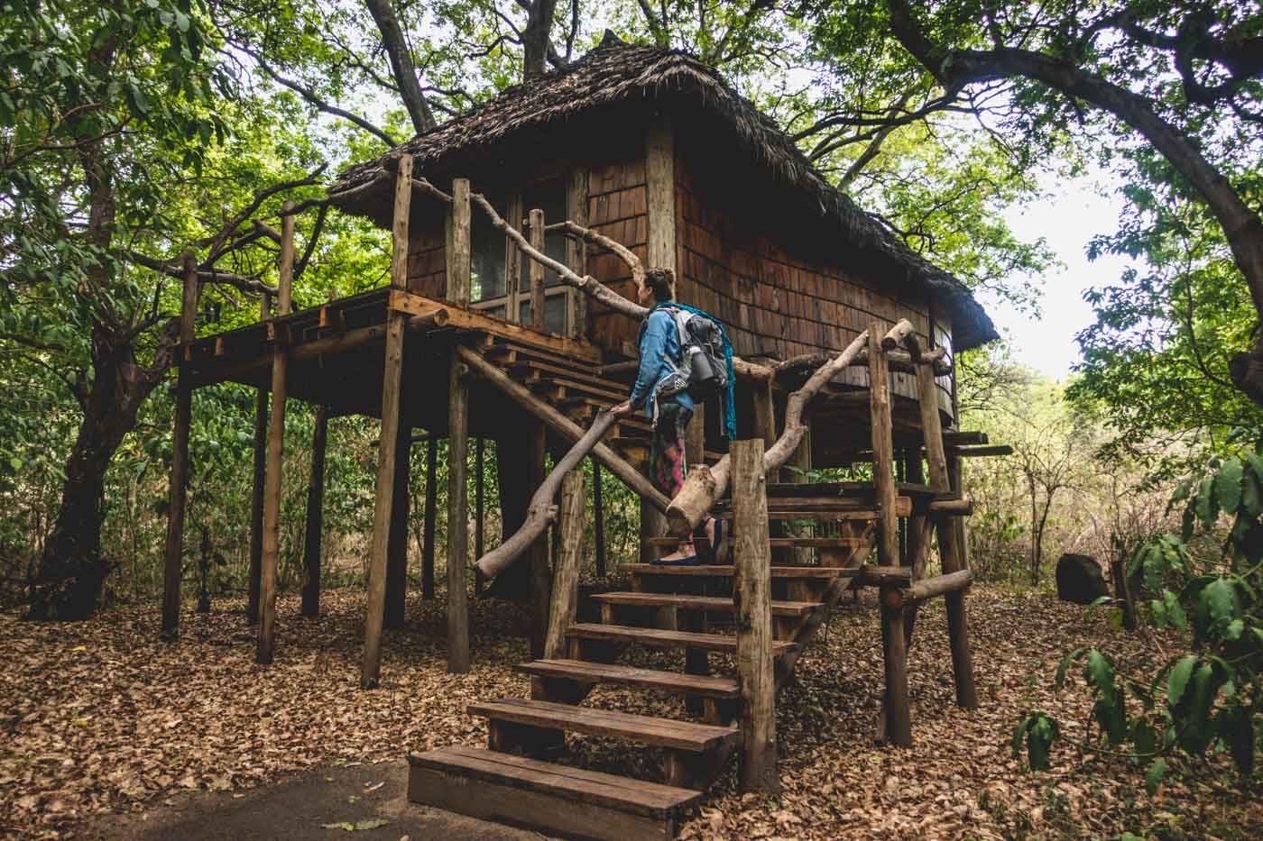 &Beyond Lake Manyara Tree House Lodge