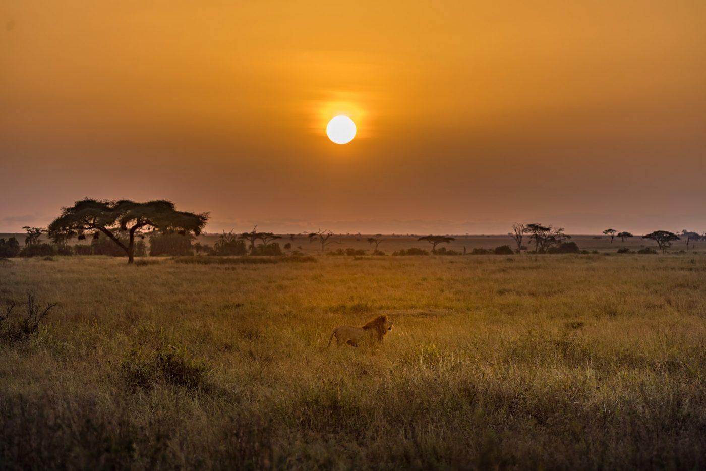 best place for safari in africa