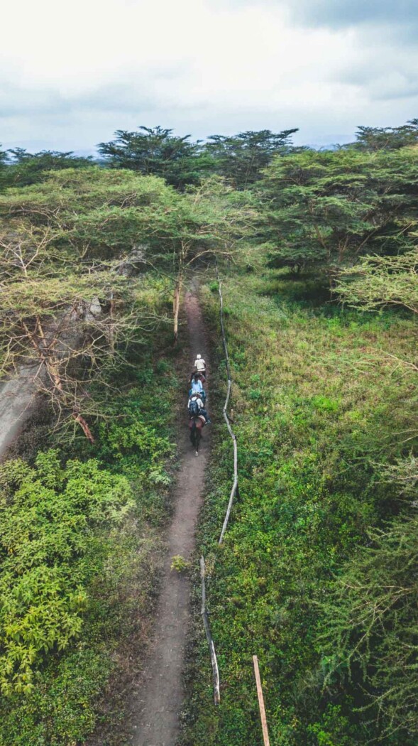 Lemala, horseback riding
