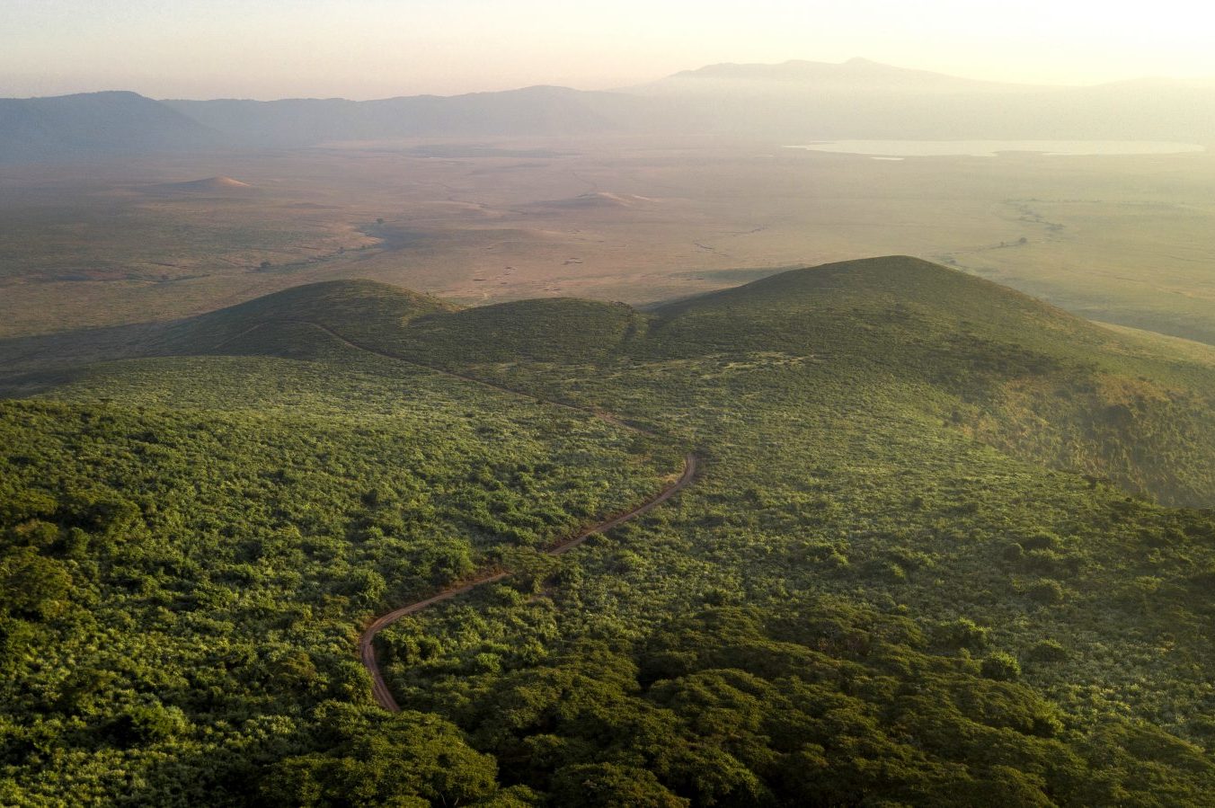 What You Need to Know About a Ngorongoro Safari in Tanzania