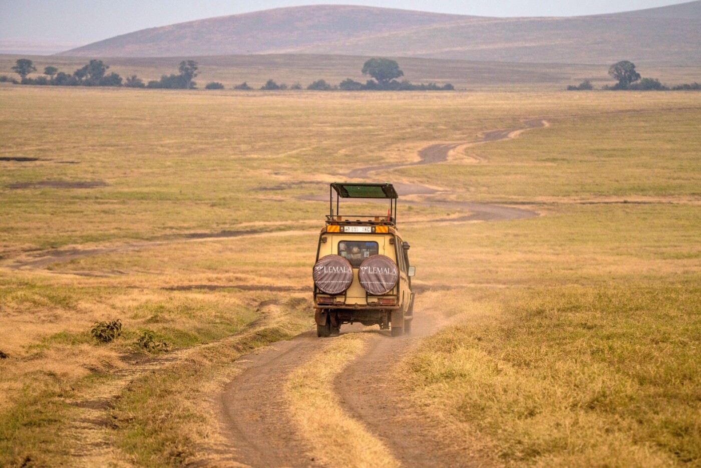 Safari in Tanzania