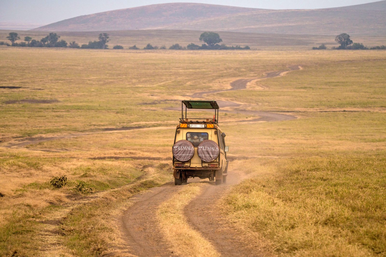 Luxury Migration Safari in November and December in Tanzania (HerdTracker)  (11 days)