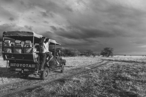 On a safari in Tanzania with &Beyond