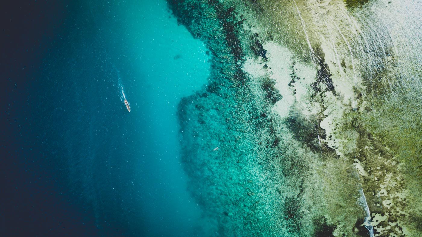 Africa Tanzania Zanzibar beach reef 0054