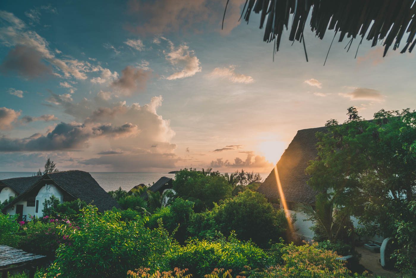 Beautiful ending to a lovely day of diving on Mnemba Island