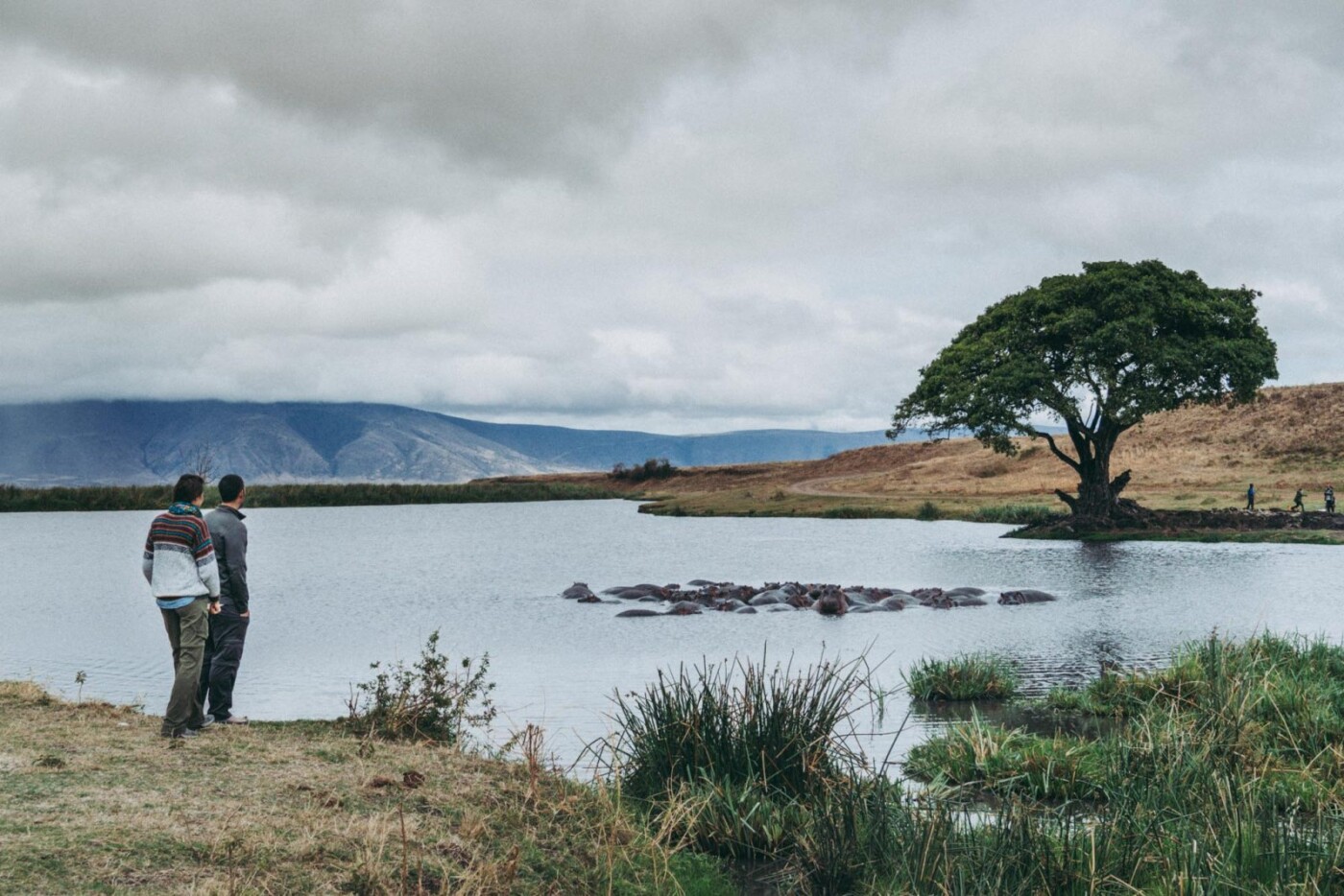 At the hippo pool in Ngorongoro Crater