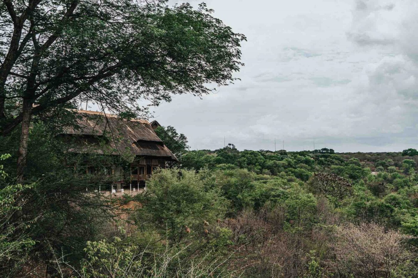 Africa Zimbabwe Victoria Falls Safari Lodge watering hole 06355