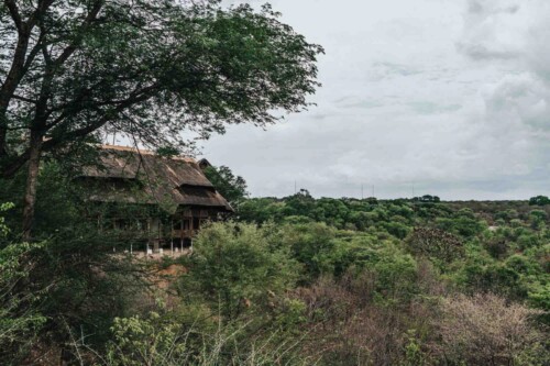 Africa Zimbabwe Victoria Falls Safari Lodge watering hole-06355