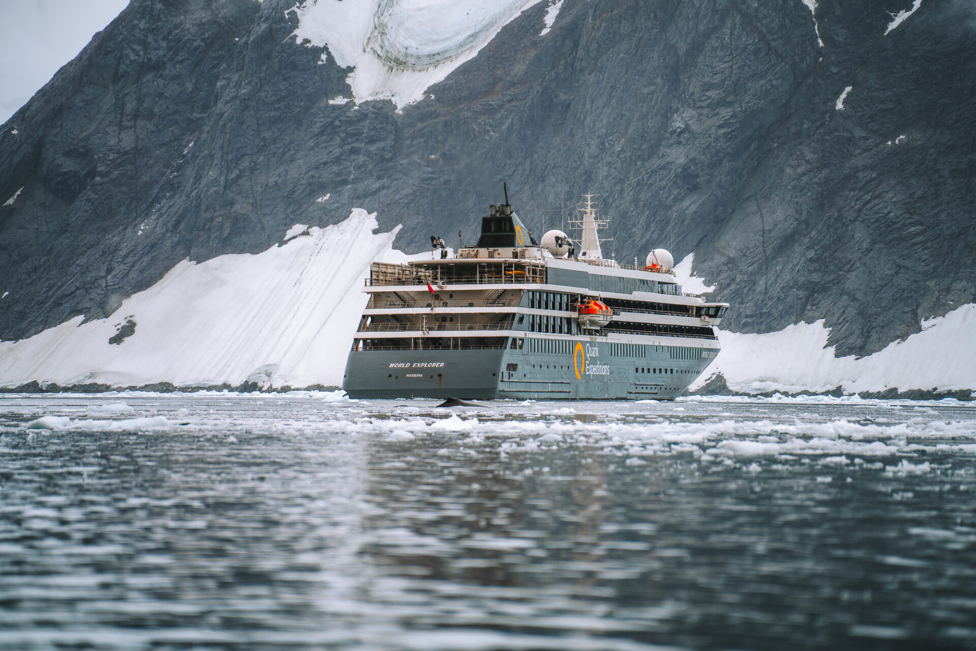 antarctica cruise review