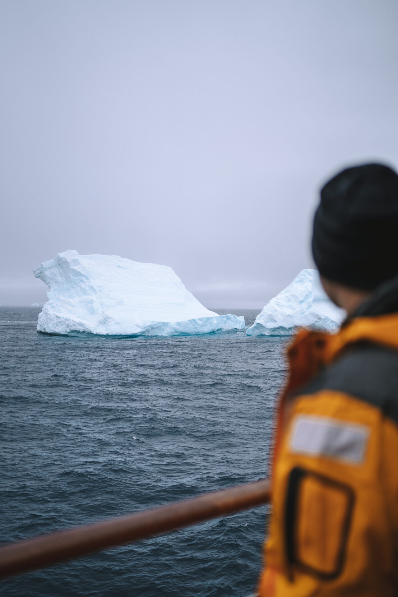 First iceberg sighting!