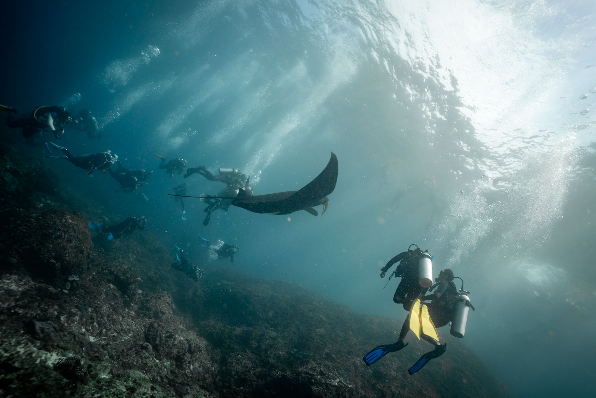 7 Best Dive Spots to Scuba Dive in Indonesia