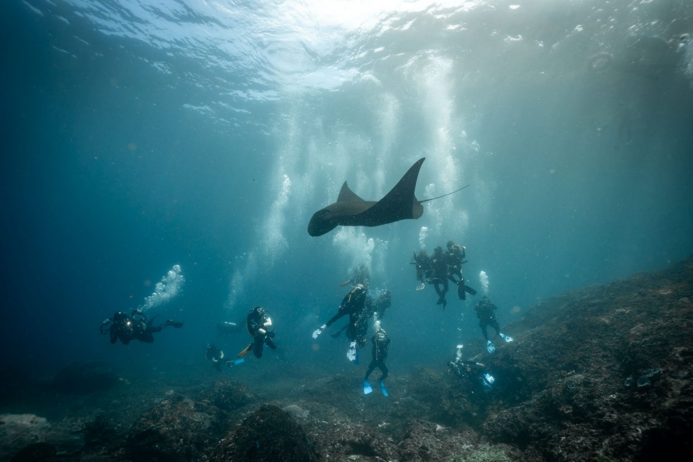Guide to Diving in Bali, dive in indonesia