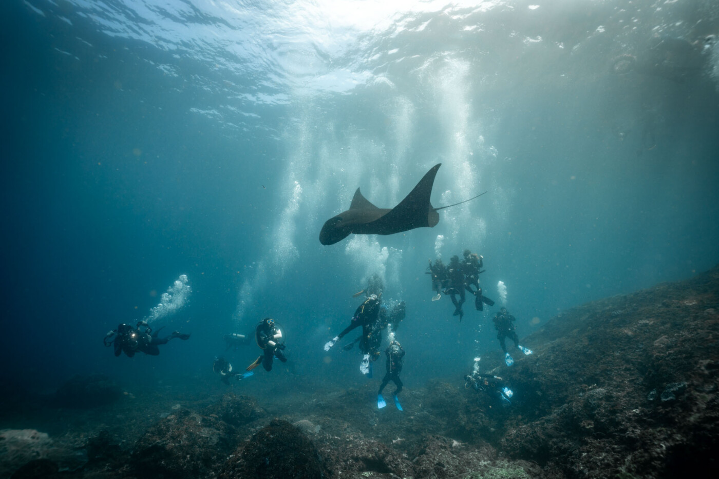 Guide to Diving in Bali, dive in indonesia