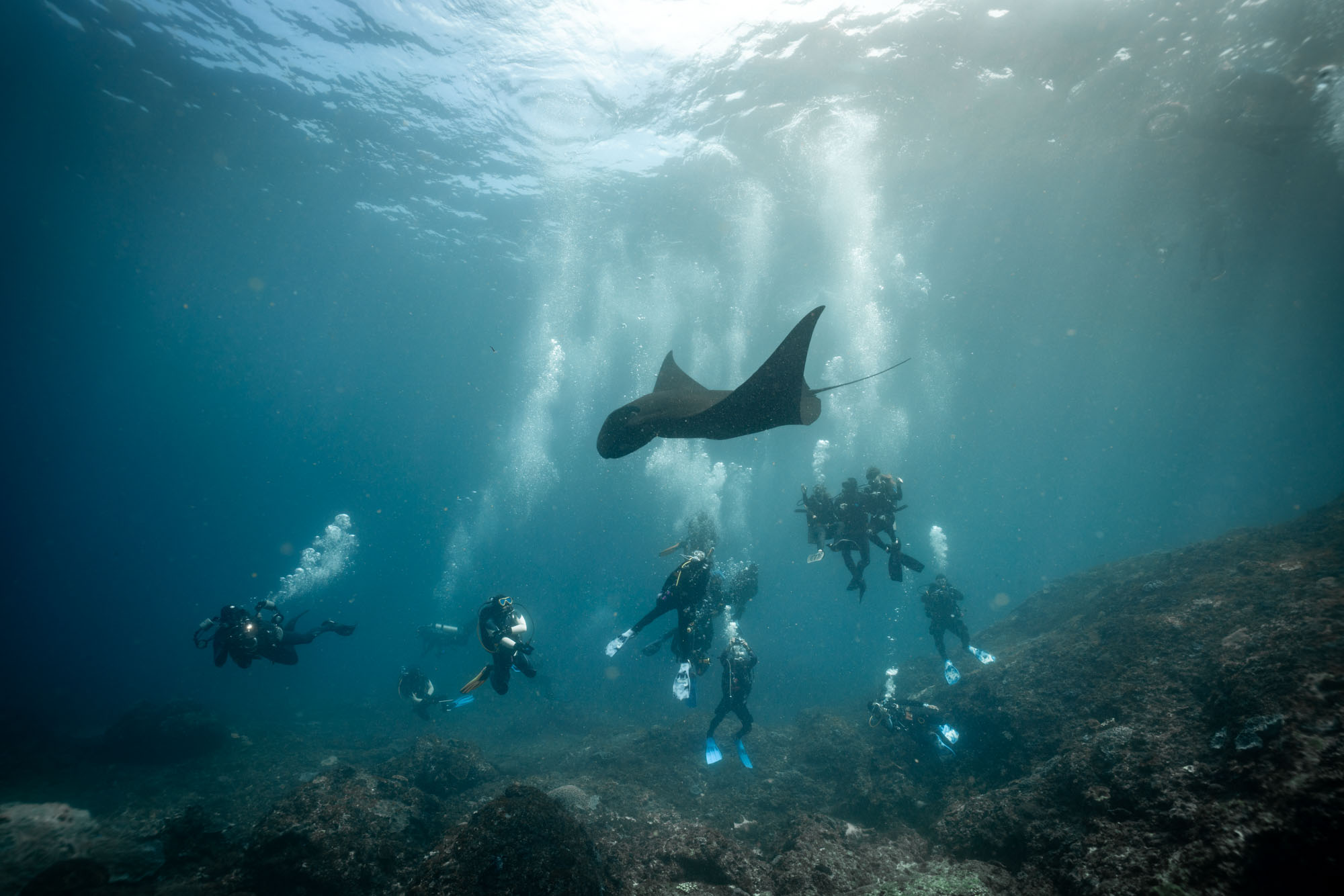 diving tour bali