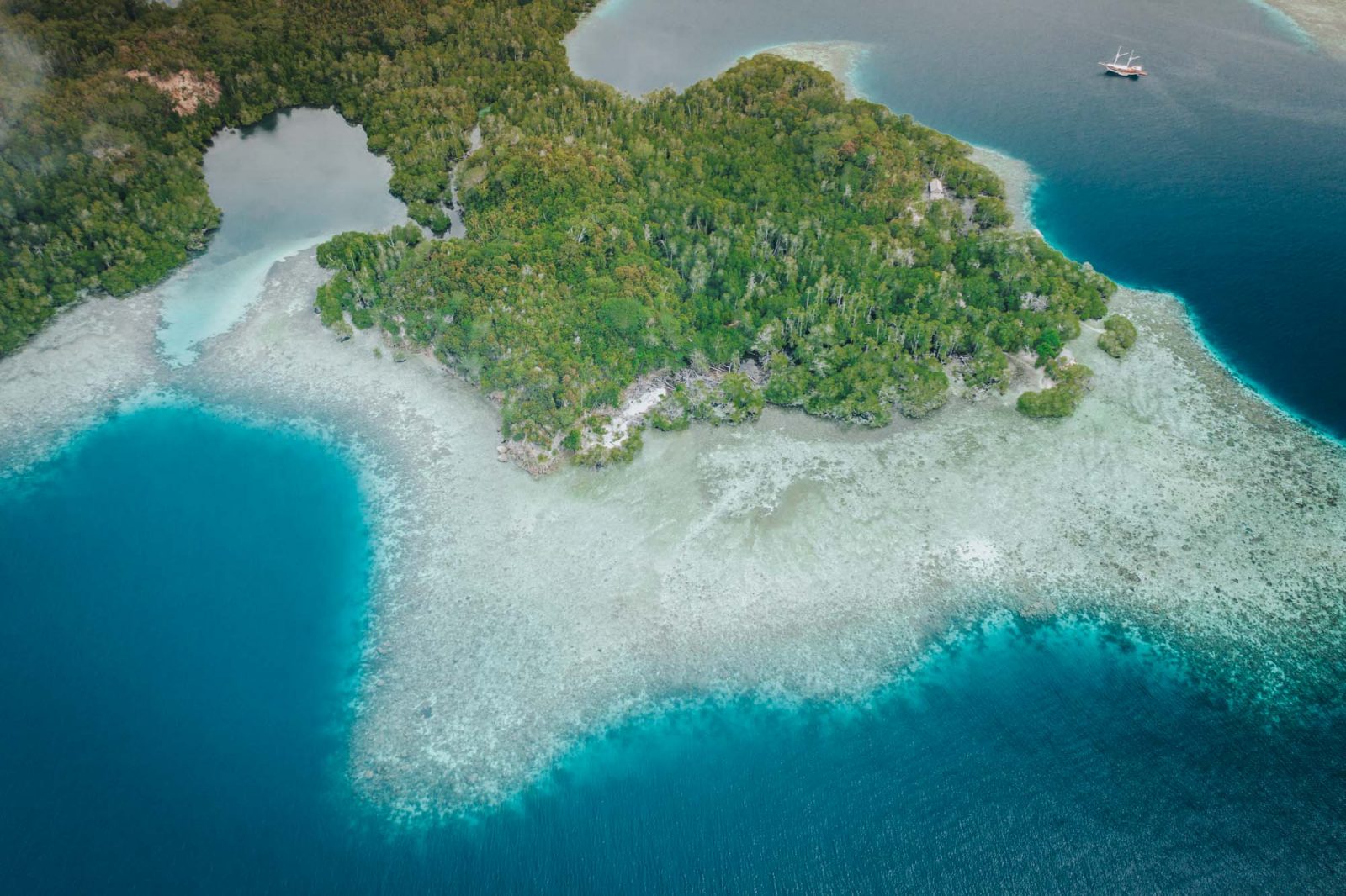 In-Depth Guide To Raja Ampat Diving In West Papua, Indonesia | Drink ...