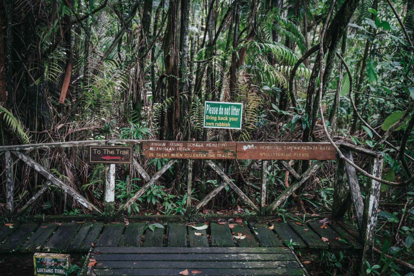 Visiting Bako National Park in Sarawak, Malaysia