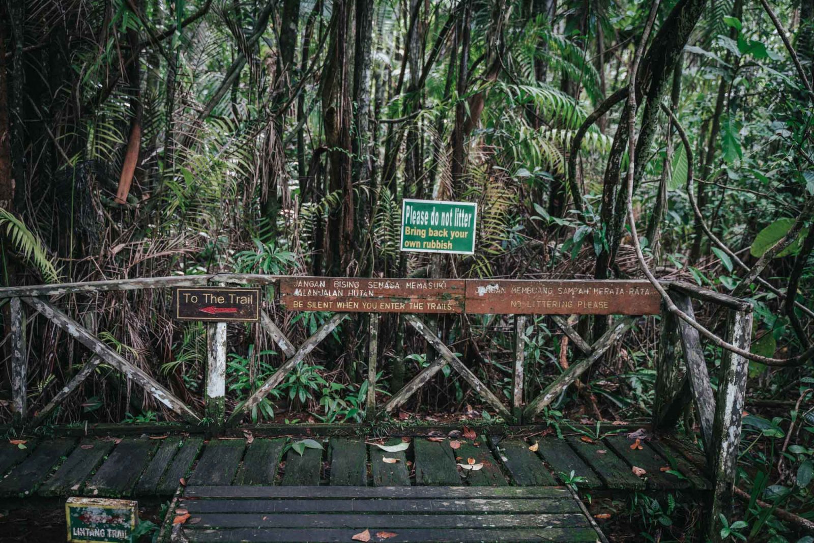 Visiting Bako National Park in Sarawak, Malaysia | Drink Tea & Travel