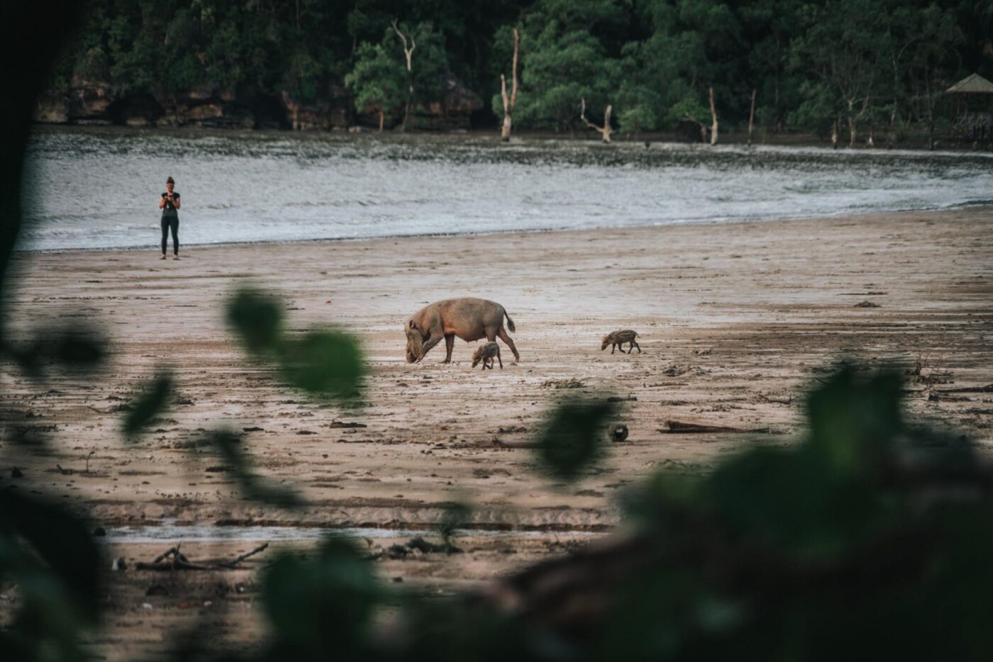 Visiting Bako National Park in Sarawak, Malaysia