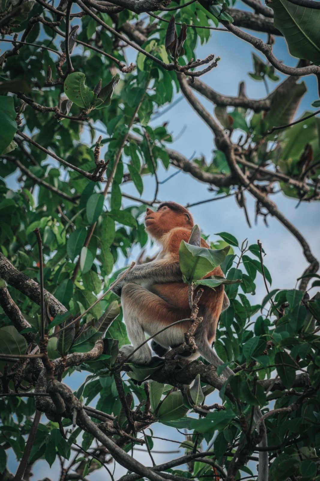 Visiting Bako National Park in Sarawak, Malaysia