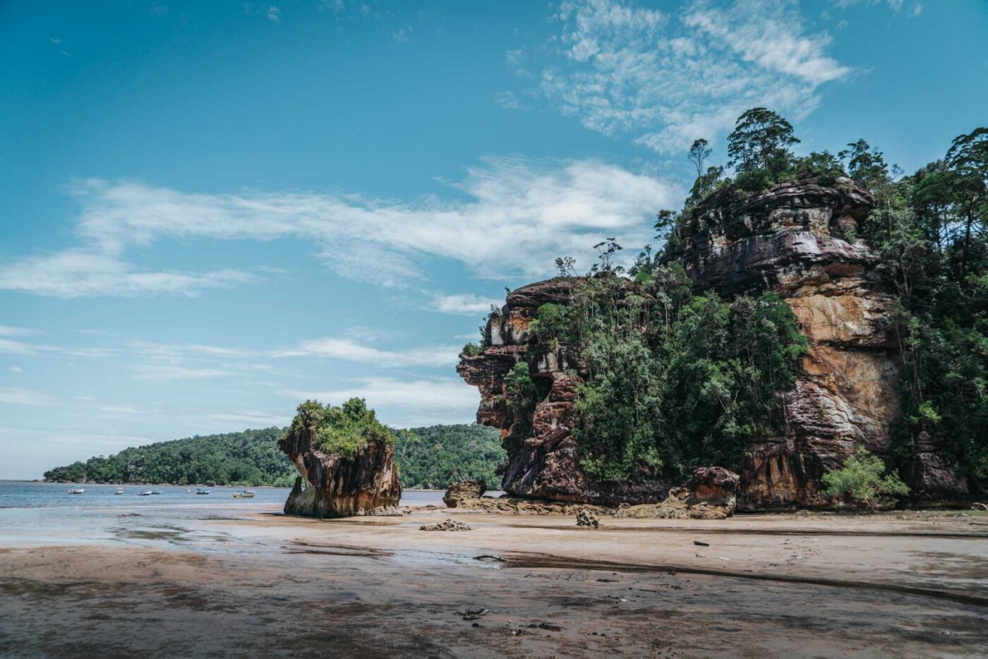 Qué ver en Parque Nacional Bako Malasia