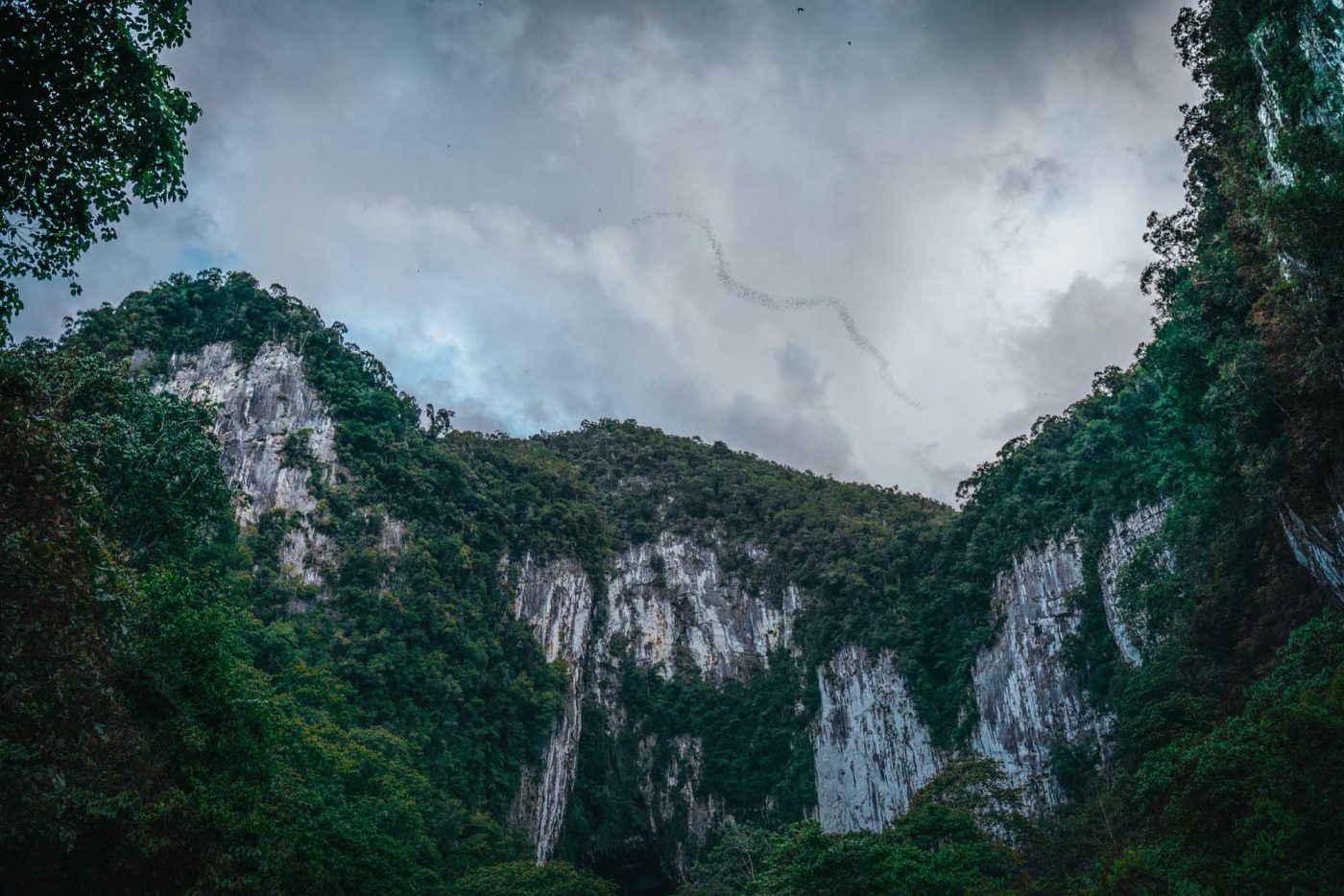 Exploring Mulu Caves in Sarawak Malaysia