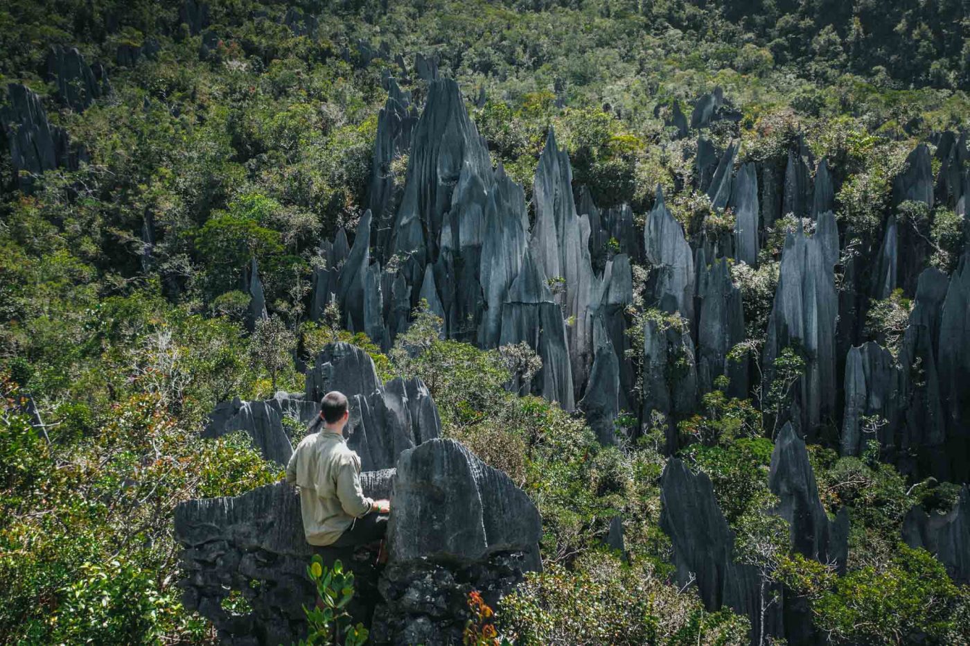 Exploring Mulu Caves in Sarawak Malaysia