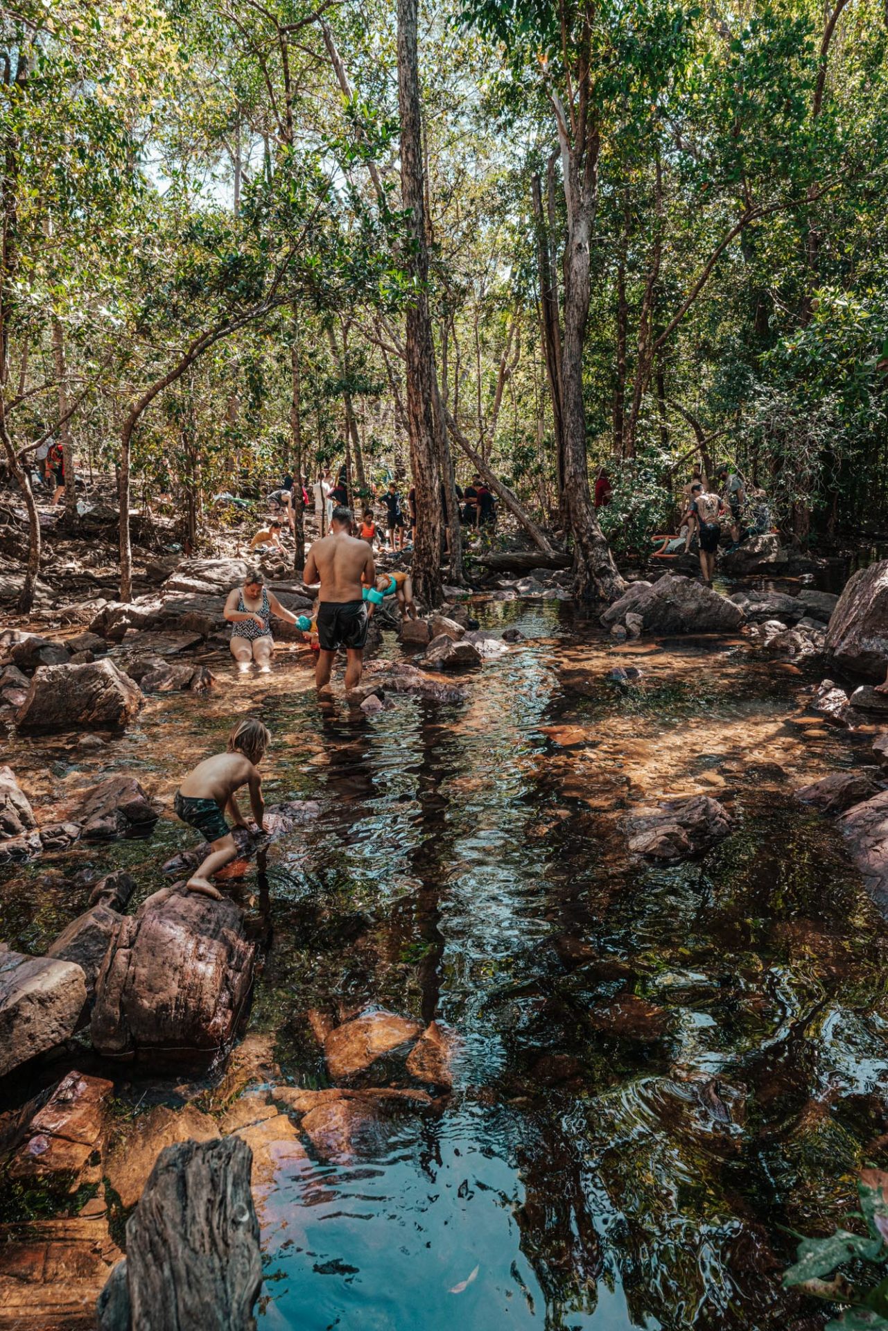 Austalia NT Top End Litchfield National Park florence falls 01571