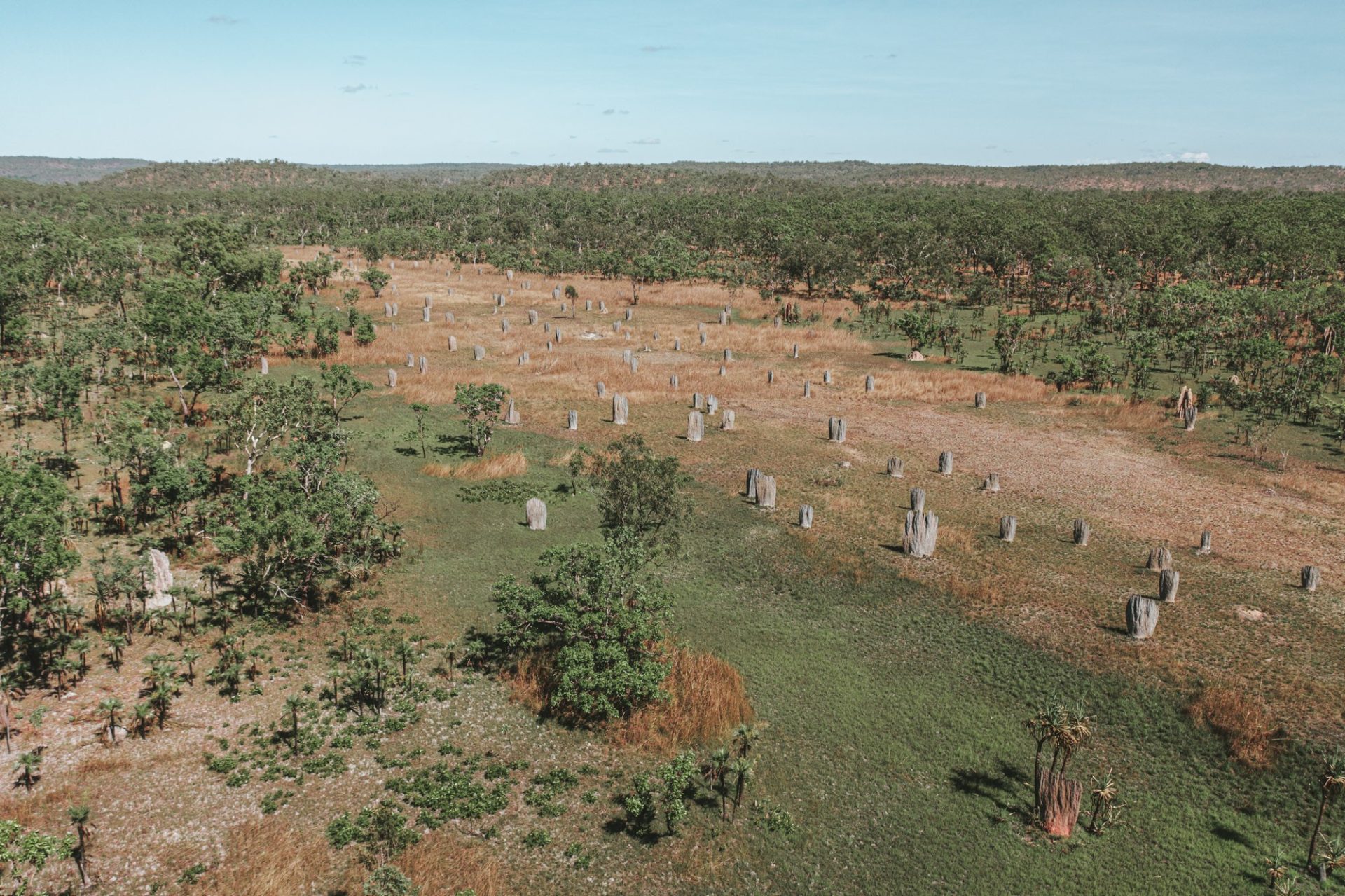 Austalia NT Top End Litchfield National Park termite mounds 0641