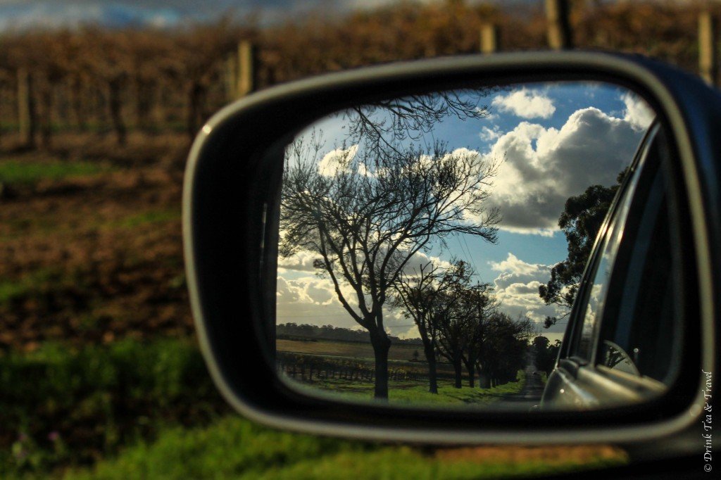 guide to van life, wineries in the barossa valley