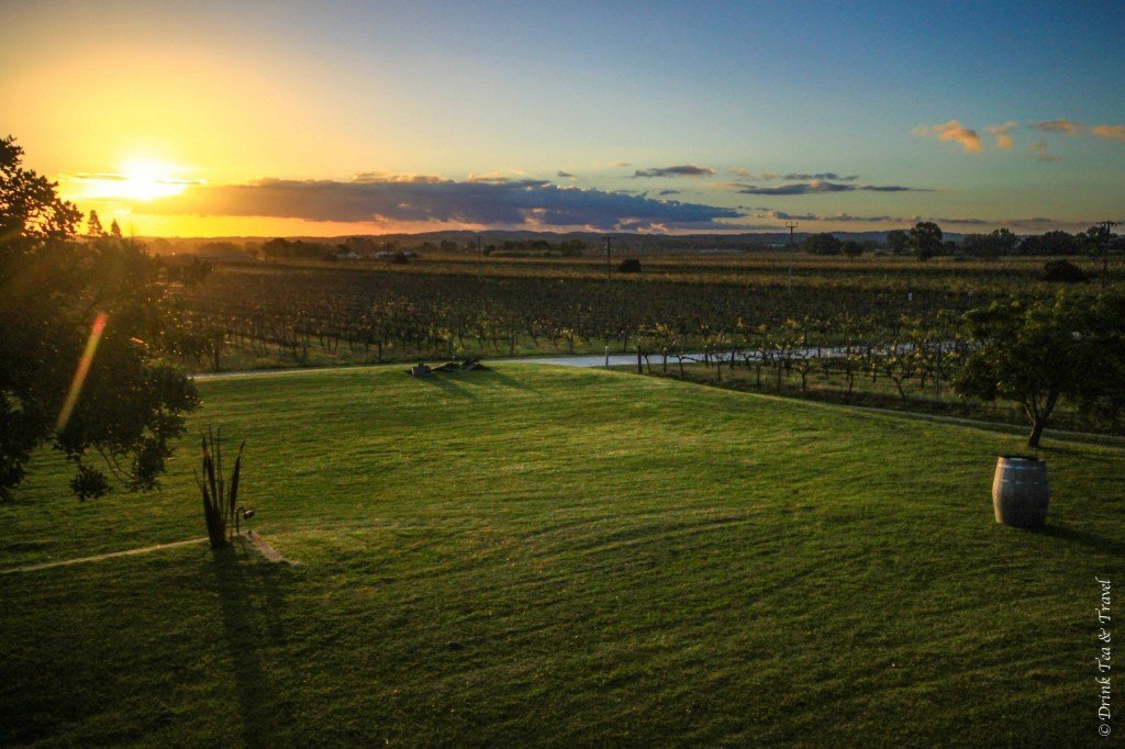View from Artisans of Barossa Winery, Barossa Valley