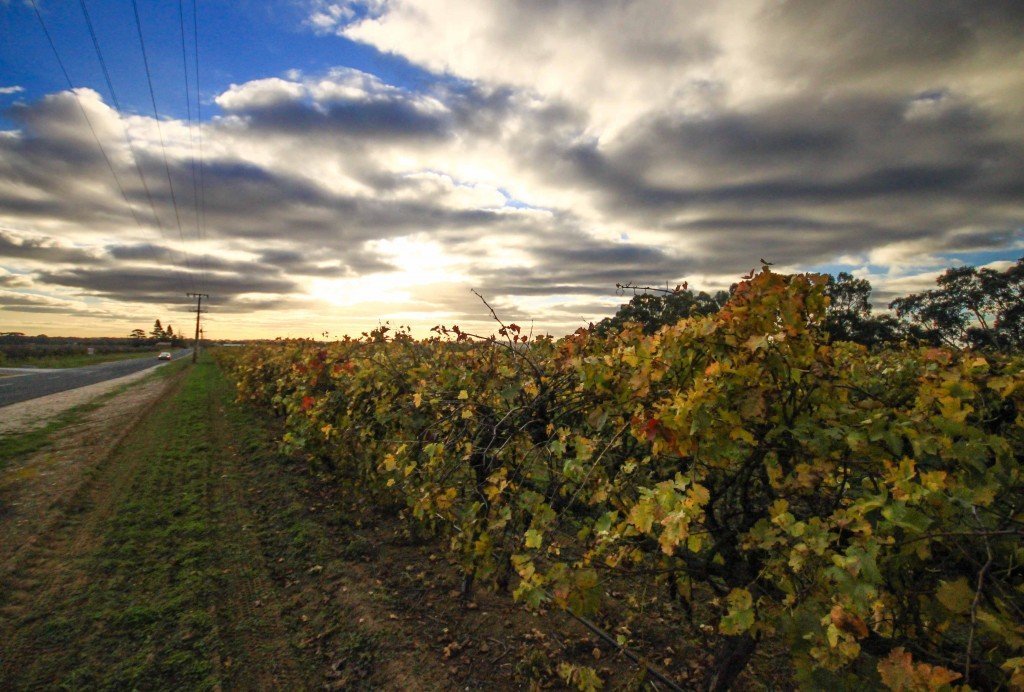 Barossa Valley, South Australia