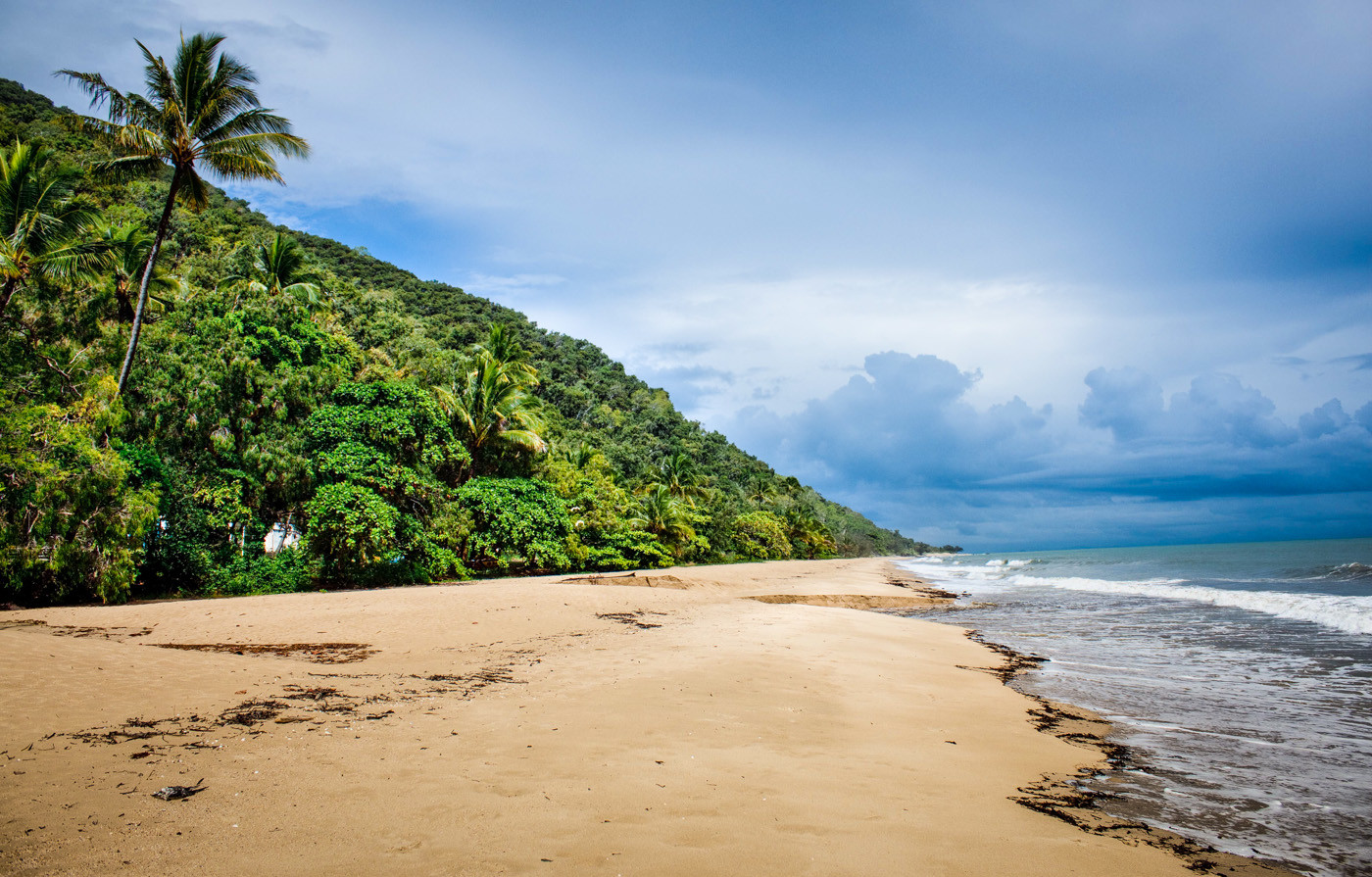 Cape Tribulation Beach, where the rainforest meets the beach