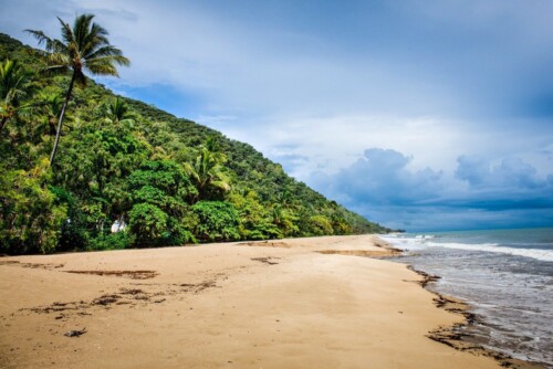 Cape Tribulation Beach, where the rainforest meets the beach
